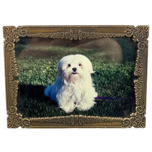 Ornate Brass Picture Frame Floral Portrait or Landscape Easel Back 3.5 X 5 Inch